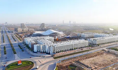 Masterise Homes đồng hành cùng Lễ hội Hoa Phượng Đỏ - Hải Phòng 2025
