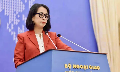 Việt Nam hoan nghênh đề xuất của Tổng thống Nga với Ukraine