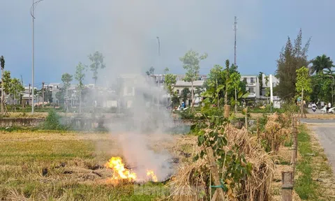 Mịt mù khói đốt đồng mùa gặt ở Huế