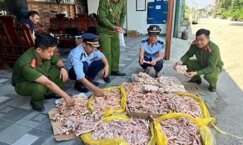 Phát hiện gần nửa tấn chân gà, đuôi lợn không rõ nguồn gốc ở cơ sở thực phẩm sạch