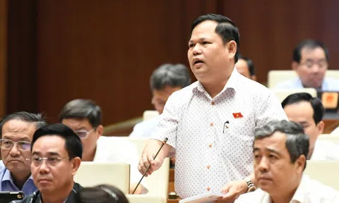 Ngành điện rất thua lỗ, sao vẫn cứ độc quyền?