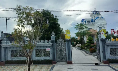 Ông chủ tòa nhà đẹp nhất Cà Mau vẫn nợ thuế 8,3 tỷ đồng
