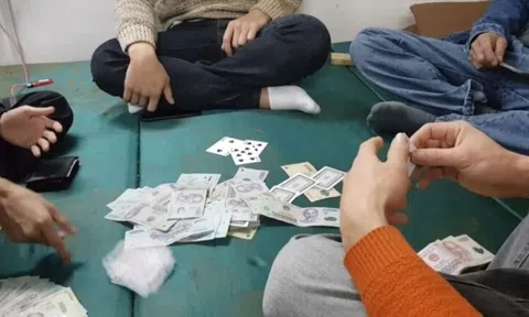 Rối loạn cờ bạc có thể khiến người trẻ tự sát