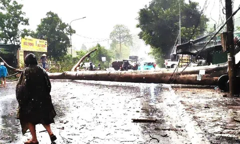 Mưa lớn kèm đá quật ngã cây đè trúng xe cứu thương