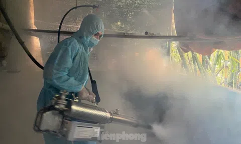 Lạng Sơn ngăn chặn nhiều ổ dịch tả lợn châu Phi