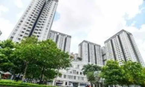 Ban quản trị chung cư không thể là 'tay ngang'