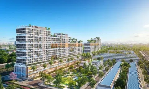 Bất động sản Nhơn Trạch sang tay vào nhịp tăng mới