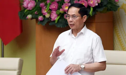 Phó Thủ tướng Bùi Thanh Sơn nhận thêm nhiệm vụ mới