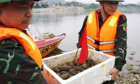 Trục vớt được 32 quả lựu đạn trên sông Đà
