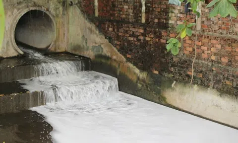 Truy tìm dòng nước ‘lạ’ từ khu công nghiệp đổ ra suối Bà Lúa ở Đồng Nai