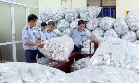Phát hiện kho chứa 40.000 gói rong biển không rõ nguồn gốc ở Bắc Ninh