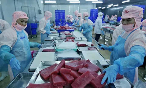 'Cao tốc' cho kinh tế tư nhân: Không hình sự hóa quan hệ kinh tế