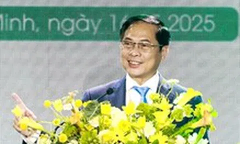 Mỏ Đại Hùng: Từ dự án chuyển giao 1 USD đến khả năng làm chủ biển sâu của người Việt