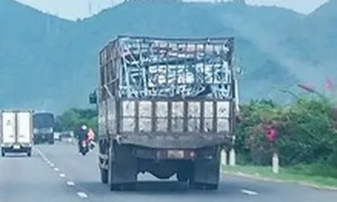Vụ bán tài sản cưỡng chế ở Nha Trang: Làm rõ trách nhiệm cá nhân sai phạm