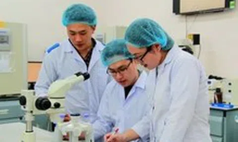 Nhiều nhà khoa học từ trường danh tiếng thế giới ứng tuyển làm việc tại Đại học Quốc gia TP.HCM