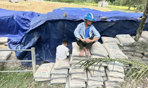 Vụ 200 tấn xi măng 'hóa đá' ở Hà Tĩnh: Tạm đình chỉ công tác một chủ tịch xã