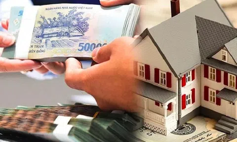 Cảnh báo nhà đầu tư rơi vào tình trạng dòng tiền âm, lãi vay chồng chất