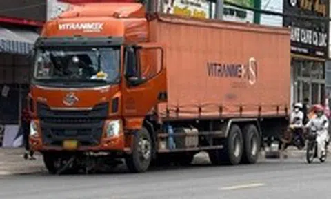 Xe tải 'không người lái' tông chết người chờ đèn đỏ: Tạm giữ tài xế