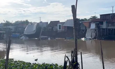 Sạt lở lớn ở An Giang, 6 căn nhà trôi xuống sông