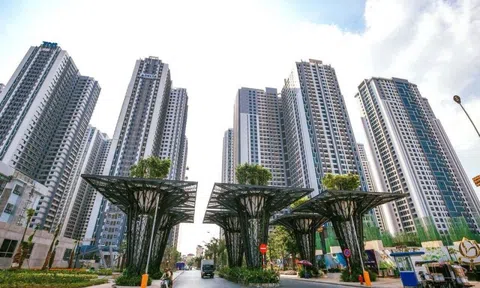 Tập đoàn ROX Group tròn 29 tuổi