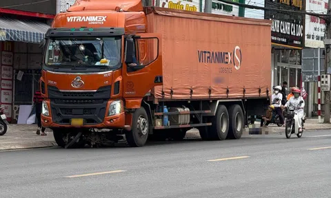 Tạm giữ tài xế vụ xe tải trôi cán chết người chờ đèn đỏ