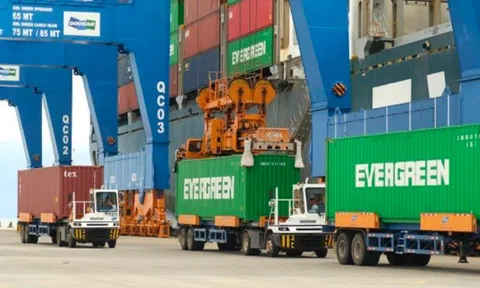 Nhóm cựu lãnh đạo chi cục hải quan nhận hối lộ để giúp thông quan hàng hóa trị giá hơn 1.800 tỷ