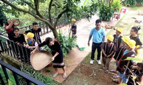 Dừng tham quan của trường học do sắp xếp đơn vị hành chính: Không nên cứng nhắc