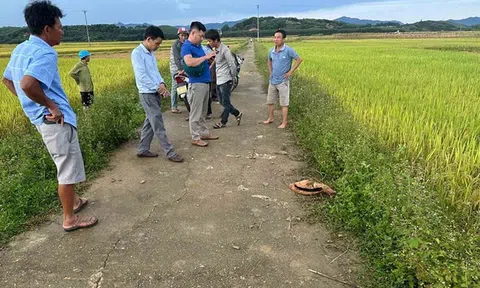 Cụ bà bị sét đánh tử vong ngoài đồng