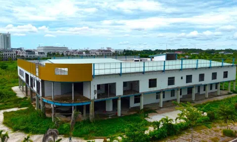 Thu hồi 2ha 'đất vàng' bỏ hoang nhiều năm ở Cà Mau