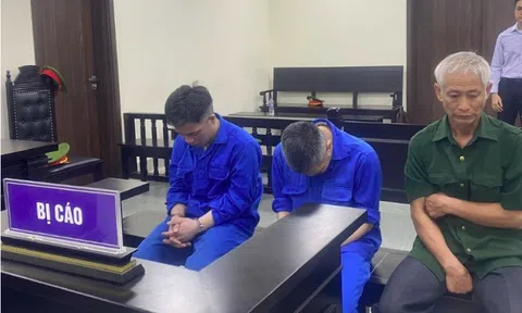 Hai tài xế cùng chủ xe lĩnh tổng 20 năm tù trong vụ tai nạn khiến 4 mẹ con tử vong ở Hà Nội