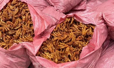 Lạng Sơn: Thu giữ trên 1,5 tấn chân gà nghi nhập lậu