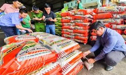 Chống buôn lậu, hàng giả 21-5: Bộ Nông nghiệp và Môi trường lập tổ công tác ngăn chặn hàng giả