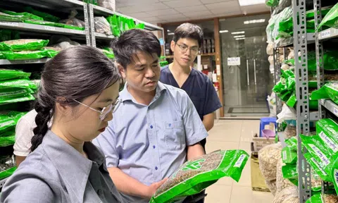 Bộ Y tế thành lập 15 tổ kiểm tra thuốc, mĩ phẩm, thực phẩm chức năng
