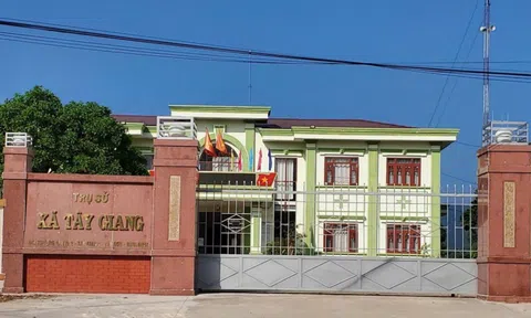 Một chủ tịch xã ở Bình Định bị tạm đình chỉ công tác