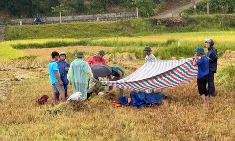 Cầm điện thoại khi đang gặt lúa, người đàn ông bị sét đánh tử vong