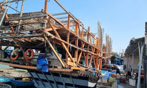 Chủ tàu cá ở Quảng Nam bị phạt 400 triệu đồng vì mất tín hiệu giám sát hành trình