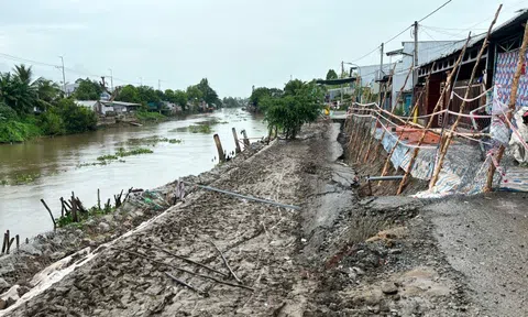 Liên tiếp 3 vụ sạt lở ở An Giang, nhà dân cheo leo trên bờ vực