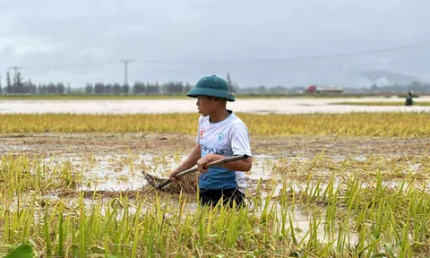 Lũ đến bất ngờ vào mùa hè: 'Chúng tôi mất trắng… rồi'