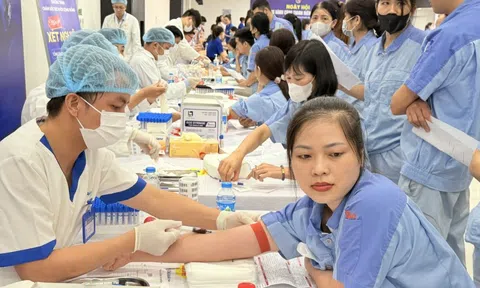Hàng trăm công nhân được khám bệnh miễn phí