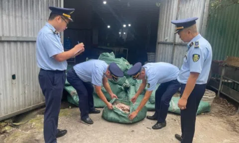 Phát hiện kho hàng chứa 8 tấn chân gà không rõ nguồn gốc tại Móng Cái