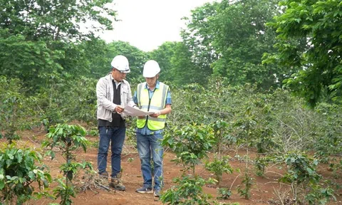 Dự án điện gió hơn 2.000 tỷ đồng ở Quảng Trị vướng giải phóng mặt bằng, huyện sẽ cưỡng chế thu hồi đất
