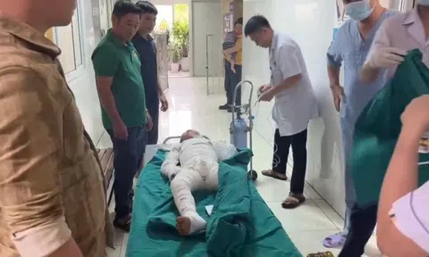 Sử dụng xăng để đốt diệt kiến, hai anh em bỏng nặng