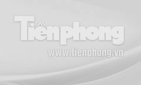 Khởi tố, bắt tạm giam Chủ tịch UBND phường và 4 cán bộ thuộc cấp