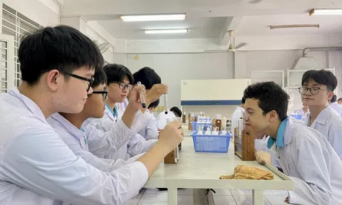 Tuyển sinh lớp 10 năm 2025: Thí sinh háo hức với môn Ngữ văn