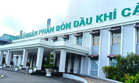 Thay đổi lãnh đạo tại Công ty phân bón dầu khí Cà Mau