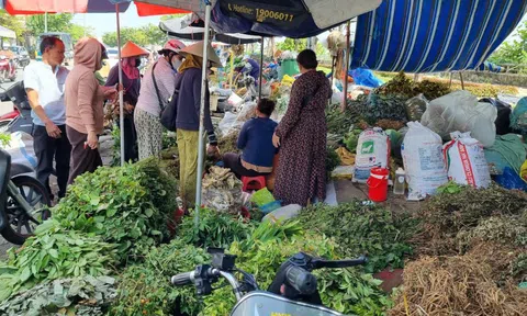 Nhộn nhịp chợ ‘lá mùng 5’ cận Tết Đoan Ngọ