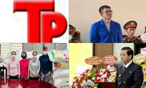 Bản tin Hình sự: Khởi tố vụ chôn lấp chất thải rắn tại dự án nhà máy đốt chất thải rắn