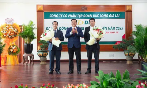 DLG tiếp tục tái cấu trúc toàn diện, đẩy mạnh đầu tư để bứt phá