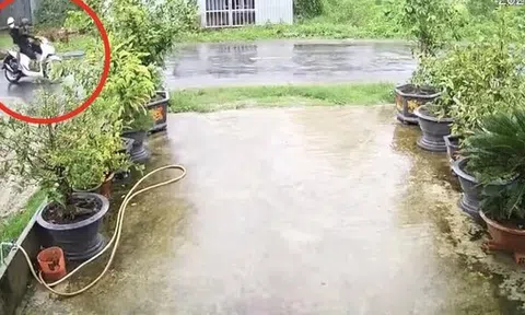 Cây phượng ngã đổ làm đứt dây điện, khiến 2 người bị điện giật tử vong