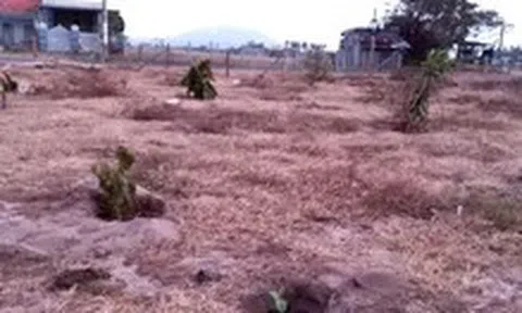 Vụ án bị bưu tá 'phát nhầm' bưu phẩm: Nạn nhân được hướng dẫn gửi lên tòa tối cao
